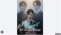 Moonlight on the Wilted Rose Chinese Drama - English Sub