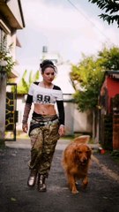 Danse tendance. Trending Dancing Danse tendance. #dance #dog @viralInterpretation