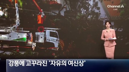 브라질 강풍에 고꾸라진 ‘자유의 여신상’