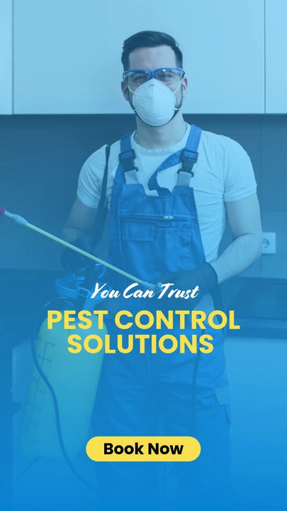 Reliable Pest Control in Melbourne: Protect Your Home with Expert Treatment