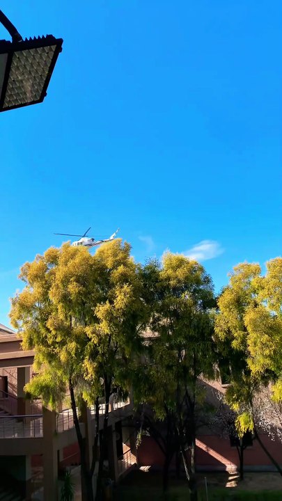 Helicopter Landing is so perfect #helicopter