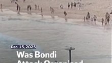 Was Bondi Attack Organised From Abroad?