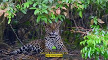 A Place Where Nature Decides Who Lives