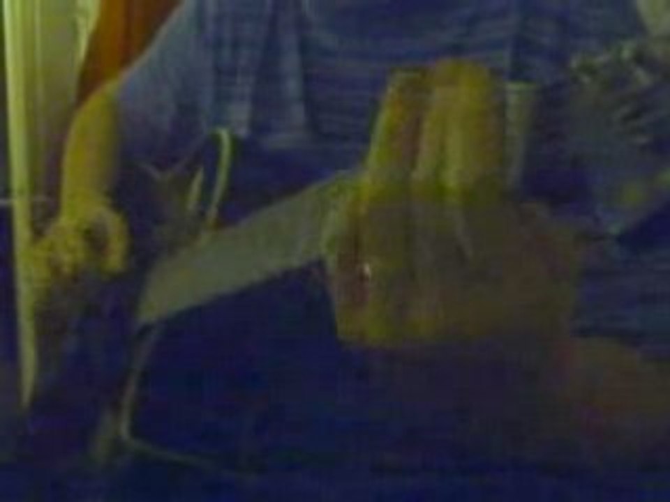 BECK loser (BORIS GREG DU DRAYE)