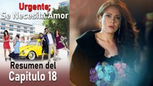 Urgente: Se Necesita Amor Resumen del Capítulo 18