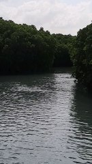 “Farasan Island Diaries: Where Nature Meets Peace”