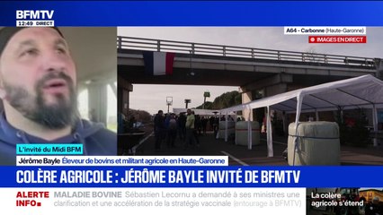 Dermatose nodulaire: "Si on ne vaccine que dans 15 jours (...) on va abattre tous nos animaux", affirme Jérôme Bayle, éleveur de bovins et militant agricole en Haute-Garonne