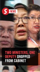 Cabinet reshuffle: Mohd Na'im, Zaliha, Saraswathy dropped