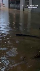 Chuva alaga ruas e deixa carros submersos em Matipó (MG)