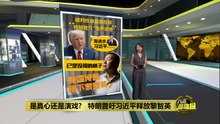 呼吁习近平释放黎智英    特朗普仅在演戏？   “完成对美国的政治表态”