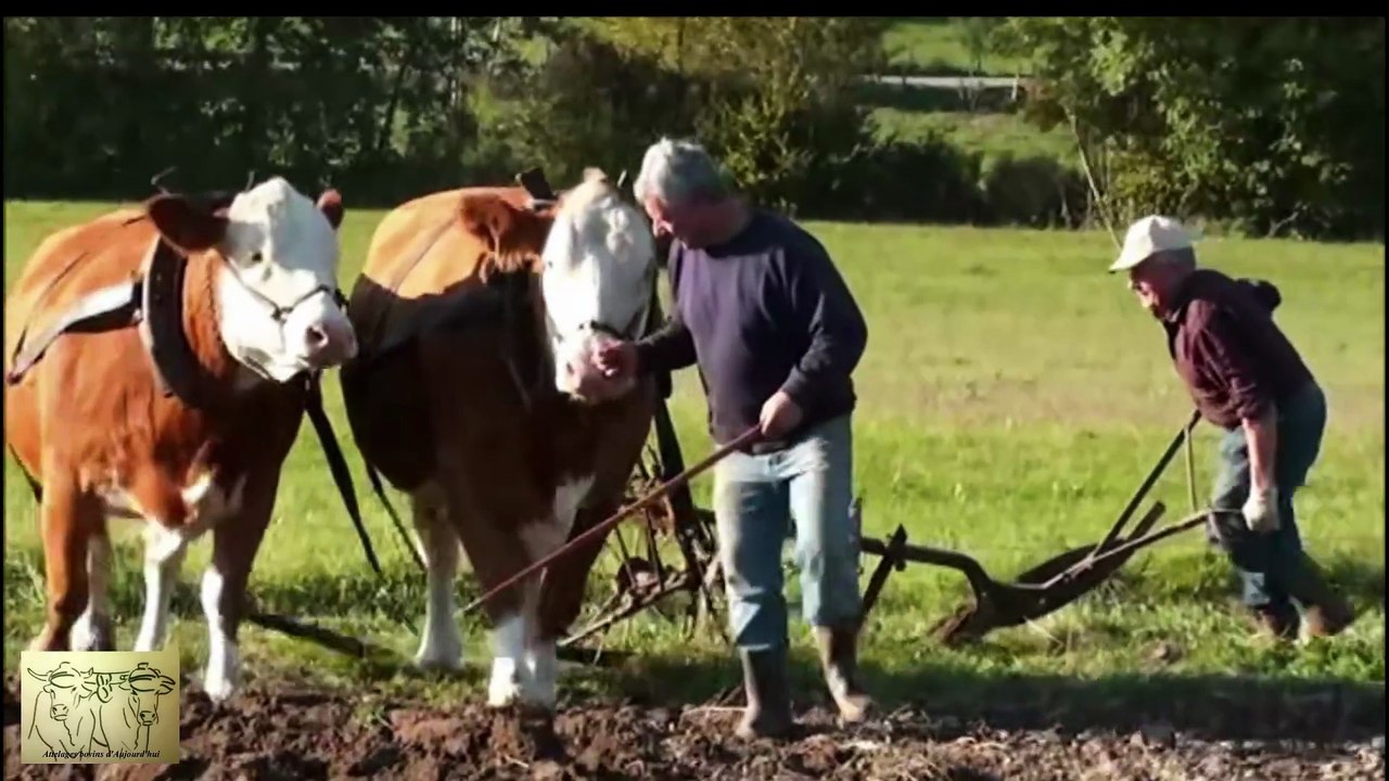 Johnny Krau préparation des terres