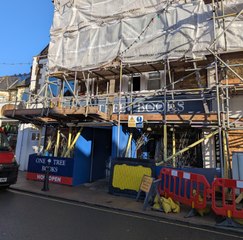 Phoenix from the Flames: The return of One Tree Books in Petersfield