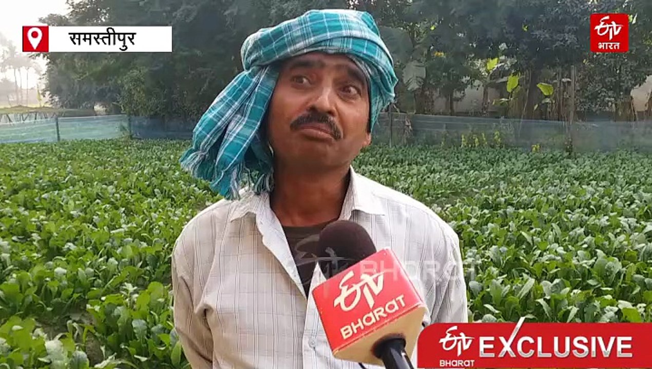 'भिंडी' नाम से मशहूर है बिहार का यह गांव, जानिए...