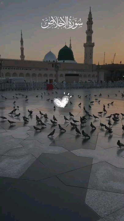 Powerful Quran Recitation ♥️