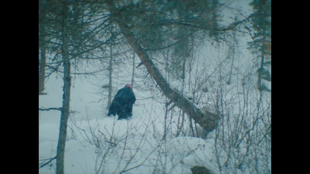 L’Engloutie BONUS réalisé par la Fondation Gan pour le Cinéma BONUS réalisé par la Fondation Gan pour le CinémaBONUS réalisé par la Fondation Gan pour le Cinéma