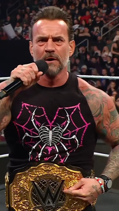 cm punk segment