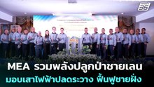 MEA รวมพลังปลูกป่าชายเลน มอบเสาไฟฟ้าปลดระวาง ฟื้นฟูชายฝั่ง | เข้มข่าวค่ำ | 16 ธ.ค. 68