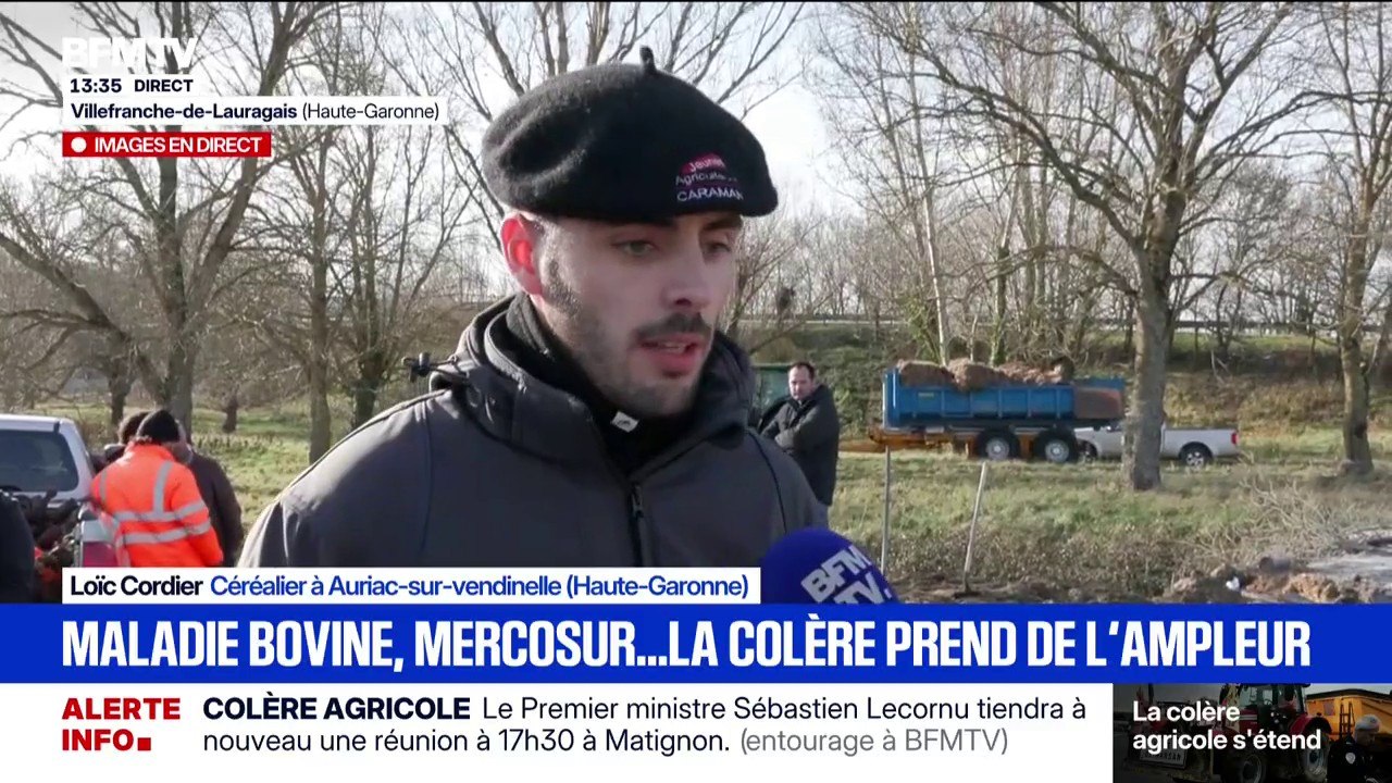 Crise agricole: "Sur la ferme, j'ai perdu pratiquement 30, 40% de rendement" affirme Loïc Cordier, céréalier en Haute-Garonne