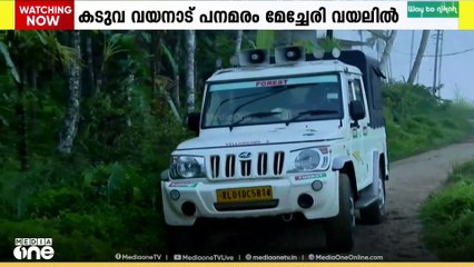 കടുവയെ കണ്ടെത്തി.. പാതിരിയമ്പലം മേഖലയിലേക്ക് കടത്തിവിടും..