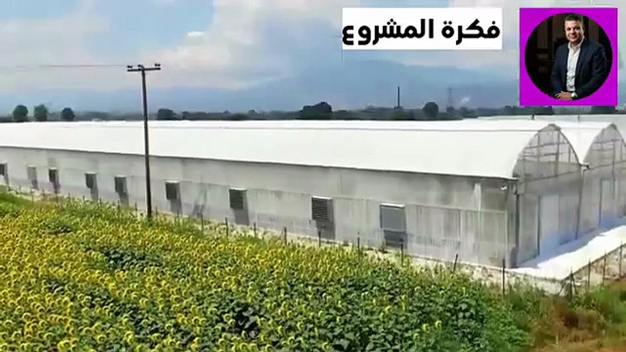 مشروع محدش قالك عليه انتاج الذهب الاخضر براس مال بسيط وارباح سهله وسريعه