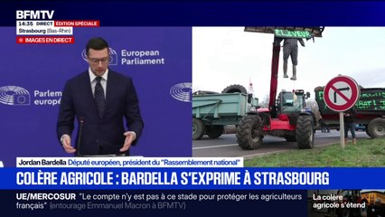 Colère agricole: "Les institutions européennes ont une responsabilité immense dans cette situation", affirme Jordan Bardella