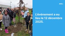 150 arbres plantés en mémoire des Poilus en Centre Morbihan