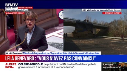 Colère agricole: "La vaccination s'est concentrée sur les secteurs qui étaient infectés par la maladie", répond Annie Genevard au groupe LFI