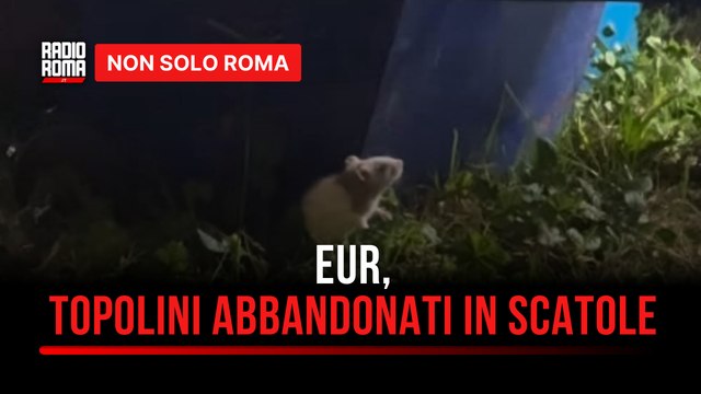 All'Eur topolini da laboratorio abbandonati in scatole si cercano i responsabili