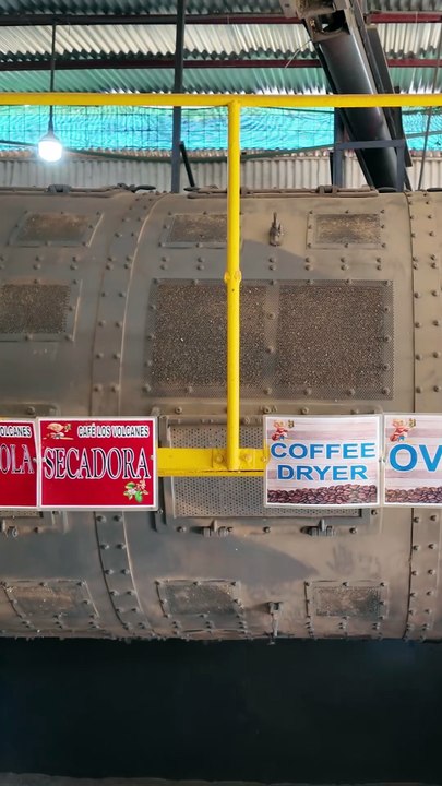 coffee drying machine