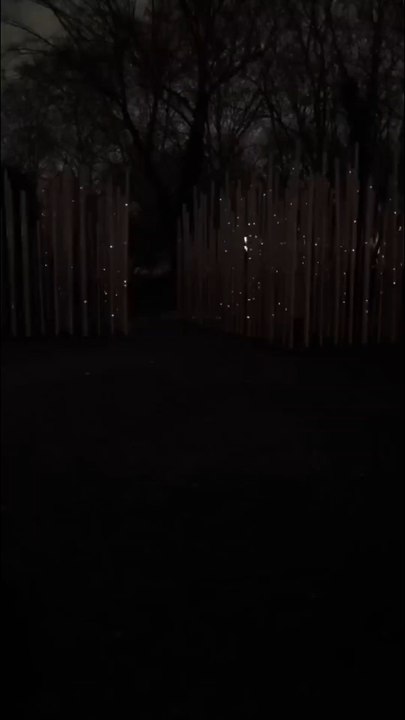 🚨 INSTANT MAGIQUE AU LIGHT CYCLES X Bella_In_Game 🔥 - Vidéo exclusivité Dailymotion