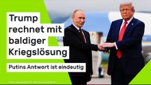 Waffenruhe zu Weihnachten?: Trump rechnet mit baldiger Kriegslösung - Putins Antwort ist eindeutig