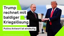 Ukraine-Waffenruhe zu Weihnachten?: Donald Trump rechnet mit baldiger Kriegslösung - Putins Antwort ist eindeutig
