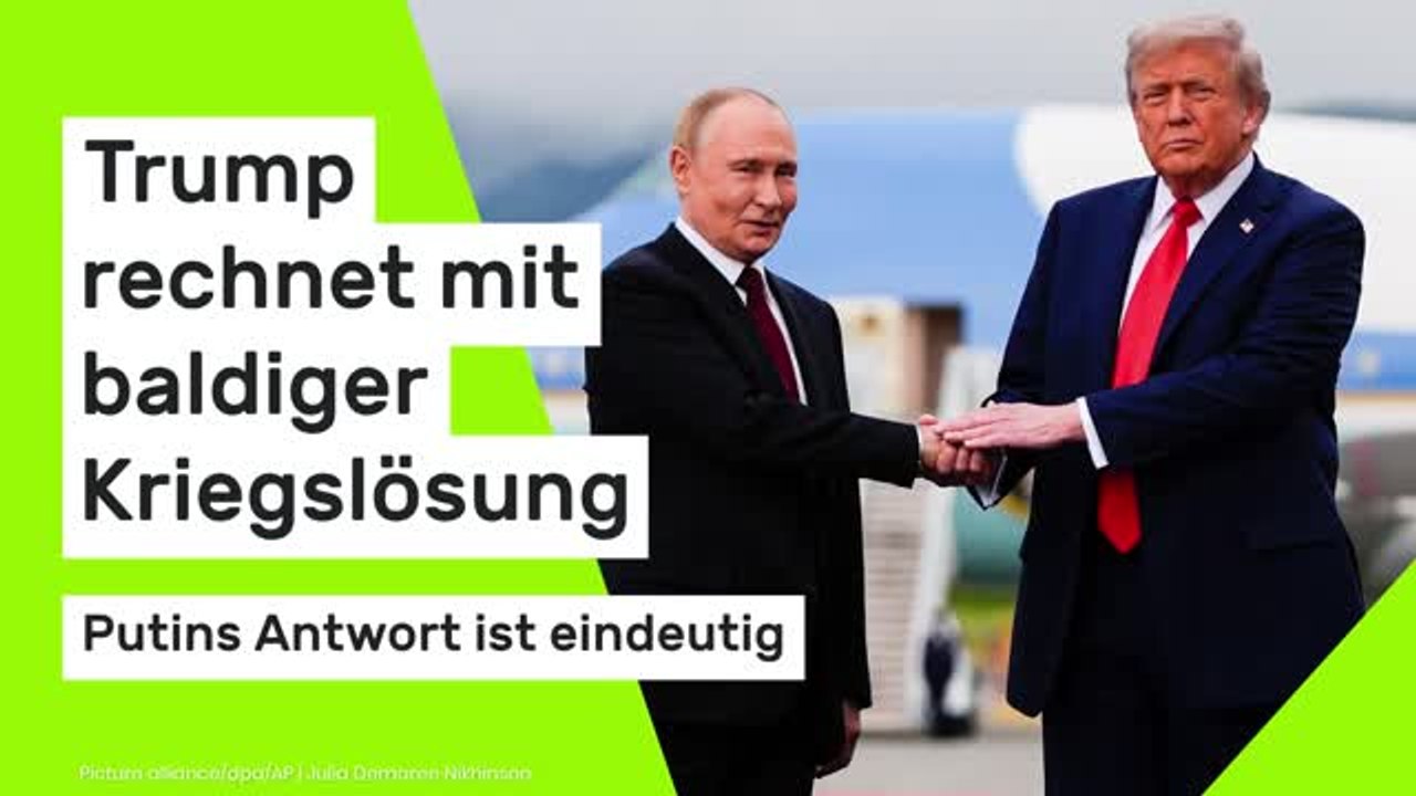 Ukraine-Waffenruhe zu Weihnachten?: Donald Trump rechnet mit baldiger Kriegslösung - Putins Antwort ist eindeutig