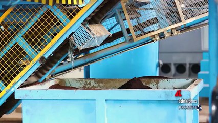 Sostenibilità: ‘Da Chicco a Chicco’, il progetto di Nespresso che genera valore per l’ambiente e la comunità