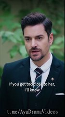 My CEO Stop Seducing Me