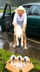 Kind-Hearted Man Rescues Cute Poor Puppies on the Roadside 🐾