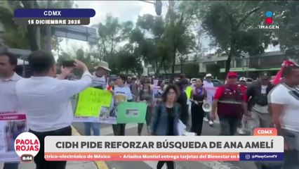 Caso Ana Amelí: CIDH pide reforzar su búsqueda | DPC con Paola Rojas