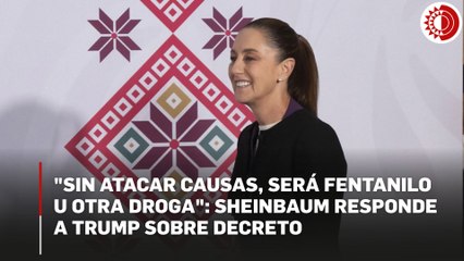 Se analizarán los alcances del decreto emitido por Trump sobre fentanilo: Sheinbaum