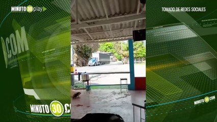 Hostigamiento armado del ELN contra el Ejército dejó un menor herido en Valdivia, Antioquia