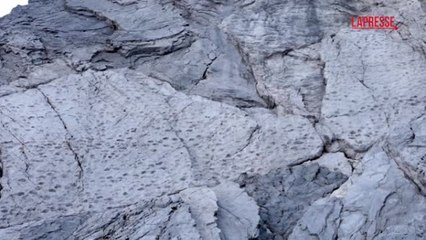 Orme di dinosauri nel Parco dello Stelvio, Fontana: «Regalo della storia alle Olimpiadi»