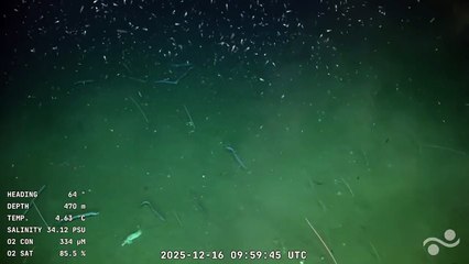 Empezó un nuevo streaming del Conicet junto a la UBA