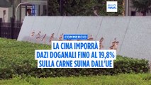 La Cina applica dazi doganali fino al 19,8% sulle importazioni di carne suina dall'Unione europea