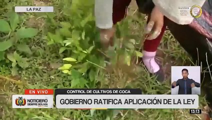 Gobierno anuncia estudio técnico para definir la cantidad real de hoja de coca para uso legal