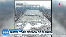¡Nueva York se pinta de blanco!