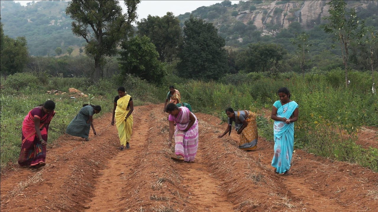 Le sol indien en révolution