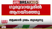 ഗുരുവായൂർ ക്ഷേത്രത്തിൽ ആന ഇടഞ്ഞു, ദേവസ്വം കൊമ്പൻ ശ്രീധരനാണ് ഇടഞ്ഞത്