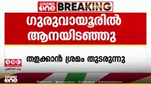 ഗുരുവായൂർ ക്ഷേത്രത്തിൽ ആന ഇടഞ്ഞു, ദേവസ്വം കൊമ്പൻ ശ്രീധരനാണ് ഇടഞ്ഞത്