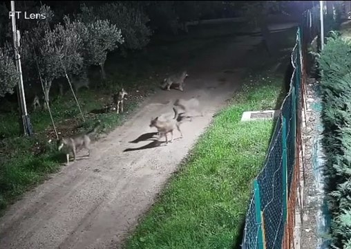 Image from field_mediaid