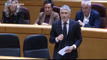 Marlaska, al PP: " ¿Saben dónde están sus puteros, sus machistas y todos sus colectivos? En el armario"