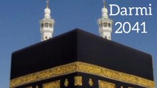 Darmi 2041